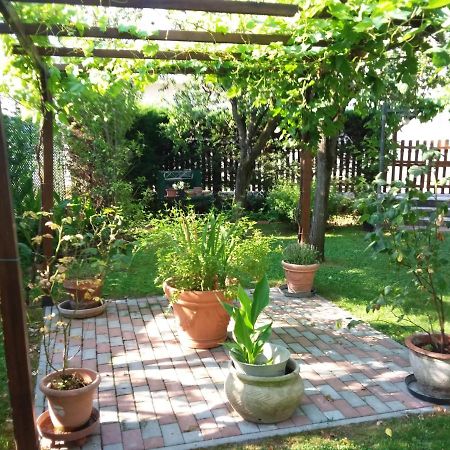 Bed And Breakfast Di Manu Taglio Di Po Экстерьер фото