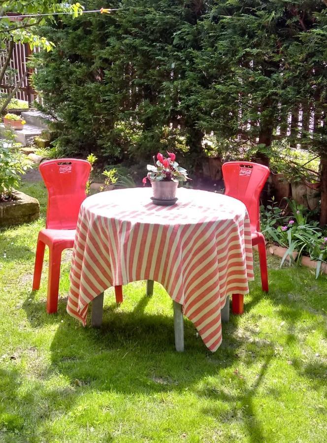 Bed And Breakfast Di Manu Taglio Di Po Экстерьер фото